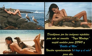 Discúlpame por las imágenes repetidas
pero solo mi comadre “Toya Montoya”
aceptó modelar para SOHO y
“Botella al Mar”
Nuestro agradecimiento (el tuyo y el mío)
para ella.
 