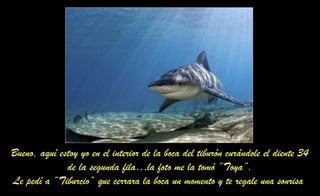 Bueno, aquí estoy yo en el interior de la boca del tiburón curándole el diente 34
de la segunda fila…la foto me la tomó “Toya”.
Le pedí a “Tiburcio“ que cerrara la boca un momento y te regale una sonrisa
 