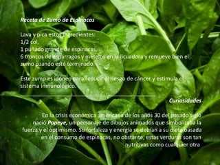 Receta de Zumo de Espinacas 
Lava y pica estos ingredientes: 
1/2 col, 
1 puñado grande de espinacas, 
6 troncos de espárragos y mételos en la licuadora y remueve bien el 
zumo cuando esté terminado. 
Este zumo es idóneo para reducir el riesgo de cáncer y estimula el 
sistema inmunológico. 
____________________________________________ 
Curiosidades 
En la crisis económica americana de los años 30 del pasado siglo 
nació Popeye, un personaje de dibujos animados que simbolizaba la 
fuerza y el optimismo. Su fortaleza y energía se debían a su dieta basada 
en el consumo de espinacas, no obstante, estas verduras son tan 
nutritivas como cualquier otra. 
 