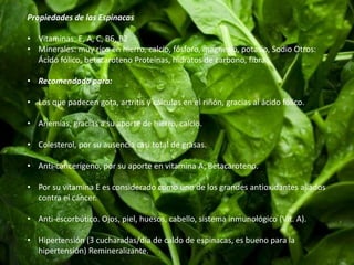 Propiedades de las Espinacas 
• Vitaminas: E, A, C, B6, B2 
• Minerales: muy rico en hierro, calcio, fósforo, magnesio, potasio, Sodio Otros: 
Ácido fólico, betacaroteno Proteínas, hidratos de carbono, fibra. 
• Recomendada para: 
• Los que padecen gota, artritis y cálculos en el riñón, gracias al ácido fólico. 
• Anemias, gracias a su aporte de hierro, calcio. 
• Colesterol, por su ausencia casi total de grasas. 
• Anti-cancerígeno, por su aporte en vitamina A: Betacaroteno. 
• Por su vitamina E es considerado como uno de los grandes antioxidantes aliados 
contra el cáncer. 
• Anti-escorbútico. Ojos, piel, huesos, cabello, sistema inmunológico (Vit. A). 
• Hipertensión (3 cucharadas/día de caldo de espinacas, es bueno para la 
hipertensión) Remineralizante. 
 