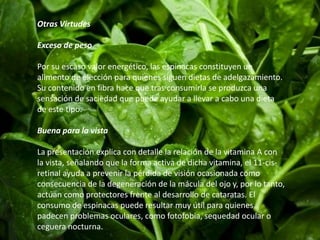 Otras Virtudes 
Exceso de peso 
Por su escaso valor energético, las espinacas constituyen un 
alimento de elección para quienes siguen dietas de adelgazamiento. 
Su contenido en fibra hace que tras consumirla se produzca una 
sensación de saciedad que puede ayudar a llevar a cabo una dieta 
de este tipo. 
Buena para la vista 
La presentación explica con detalle la relación de la vitamina A con 
la vista, señalando que la forma activa de dicha vitamina, el 11-cis-retinal 
ayuda a prevenir la pérdida de visión ocasionada como 
consecuencia de la degeneración de la mácula del ojo y, por lo tanto, 
actúan como protectores frente al desarrollo de cataratas. El 
consumo de espinacas puede resultar muy útil para quienes 
padecen problemas oculares, como fotofobia, sequedad ocular o 
ceguera nocturna. 
 