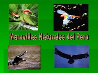 Maravillas Naturales del Perú 