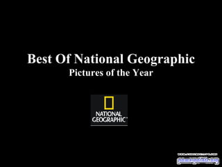 Best Of National Geographic Pictures of the Year 