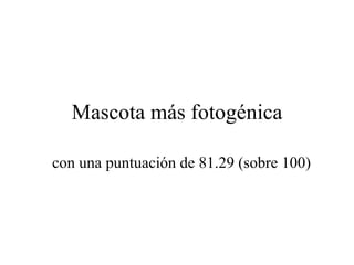 Mascota más fotogénica con una puntuación de 81.29 (sobre 100) 