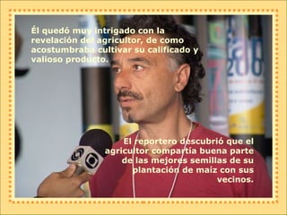 Él quedó muy intrigado con la revelación del agricultor, de como  acostumbraba cultivar su calificado y valioso producto. El reportero descubrió que el agricultor compartía buena parte de las mejores semillas de su plantación de maíz con sus vecinos. 