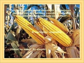- ¿Cómo puede usted compartir sus mejores semillas con sus vecinos, cuando ellos están compitiendo directamente con usted? El agricultor respondió: - ¿Usted no sabe?  Es simple! 