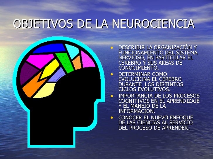NEUROCIENCIAS: FUNCION DE LA NEUROCIENCIA