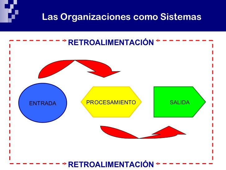 elementos que caracterizan a las organizaciones