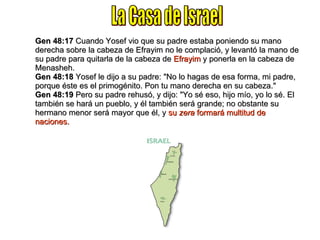 Gen 48:17  Cuando Yosef vio que su padre estaba poniendo su mano derecha sobre la cabeza de Efrayim no le complació, y levantó la mano de su padre para quitarla de la cabeza de  Efrayim  y ponerla en la cabeza de Menasheh. Gen 48:18  Yosef le dijo a su padre: "No lo hagas de esa forma, mi padre, porque éste es el primogénito. Pon tu mano derecha en su cabeza." Gen 48:19  Pero su padre rehusó, y dijo: "Yo sé eso, hijo mío, yo lo sé. El también se hará un pueblo, y él también será grande; no obstante su hermano menor será mayor que él, y  su  zera  formará multitud de naciones. La Casa de Israel 