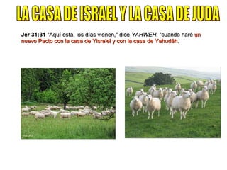 Jer 31:31  "Aquí está, los días vienen," dice  YAHWEH , "cuando haré  un nuevo Pacto con la casa de Yisra'el y con la casa de Yahudáh. LA CASA DE ISRAEL Y LA CASA DE JUDA 