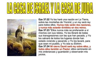 Eze 37:22  Yo los haré una nación en La Tierra, sobre las montañas de Yisra'el; y un rey será rey para todos ellos.  Nunca más serán dos naciones, y nunca más estarán divididos en dos reinos. Eze 37:23  "Ellos nunca más se profanarán a sí mismos con sus ídolos, Yo los libraré de todas sus transgresiones con las que han pecado, y Yo los salvaré de todos los lugares donde han estado viviendo y pecando; y Yo los lavaré, para que sean mi pueblo, y Yo sea su Elohim. Eze 37:24   Mi siervo David será rey sobre ellos, y todos ellos tendrán un Pastor ; ellos caminarán en mis ordenanzas y guardarán y observarán mis juicios. LA CASA DE ISRAEL Y LA CASA DE JUDA 