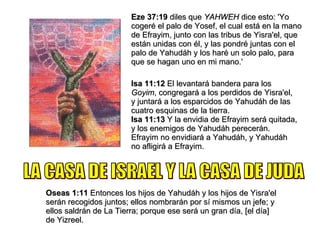 Eze 37:19  diles que  YAHWEH  dice esto: 'Yo cogeré el palo de Yosef, el cual está en la mano de Efrayim, junto con las tribus de Yisra'el, que están unidas con él, y las pondré juntas con el palo de Yahudáh y los haré un solo palo, para que se hagan uno en mi mano.' Isa 11:12  El levantará bandera para los  Goyim , congregará a los perdidos de Yisra'el, y juntará a los esparcidos de Yahudáh de las cuatro esquinas de la tierra. Isa 11:13  Y la envidia de Efrayim será quitada, y los enemigos de Yahudáh perecerán. Efrayim no envidiará a Yahudáh, y Yahudáh no afligirá a Efrayim. Oseas 1:11  Entonces los hijos de Yahudáh y los hijos de Yisra'el serán recogidos juntos; ellos nombrarán por sí mismos un jefe; y ellos saldrán de La Tierra; porque ese será un gran día, [el día] de Yizreel. LA CASA DE ISRAEL Y LA CASA DE JUDA 