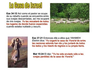 Eze 34:12  Así como el pastor se ocupa de su rebaño cuando se encuentra entre sus ovejas descarriadas, así me ocuparé de mis ovejas.  Yo las rescataré de todos los lugares de donde fueron esparcidas  cuando estaba nublado y oscuro. Eze 37:21  Entonces dile a ellos que  YAHWEH Elohim  dice:  'Yo cogeré la casa de Yisra'el de entre las naciones adonde han ido y los juntaré de todos los lados y los traeré de regreso a su propia tierra. Mat 15:24  El dijo:  "Yo he sido enviado sólo a las ovejas perdidas de la casa de Yisra'el." La Casa de Israel 