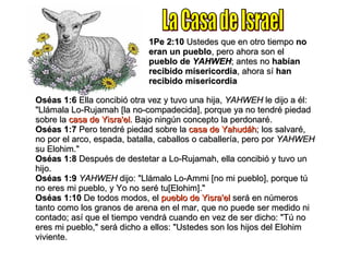 1Pe 2:10  Ustedes que en otro tiempo  no eran un pueblo , pero ahora son el  pueblo de  YAHWEH ; antes no  habían recibido misericordia , ahora sí  han recibido misericordia Oséas 1:6  Ella concibió otra vez y tuvo una hija,  YAHWEH  le dijo a él: "Llámala Lo-Rujamah [la no-compadecida], porque ya no tendré piedad sobre la  casa de Yisra'el . Bajo ningún concepto la perdonaré.  Oséas 1:7  Pero tendré piedad sobre la  casa de Yahudáh ; los salvaré, no por el arco, espada, batalla, caballos o caballería, pero por  YAHWEH  su Elohim." Oséas 1:8  Después de destetar a Lo-Rujamah, ella concibió y tuvo un hijo. Oséas 1:9   YAHWEH  dijo: "Llámalo Lo-Ammi [no mi pueblo], porque tú no eres mi pueblo, y Yo no seré tu[Elohim]." Oséas 1:10  De todos modos, el  pueblo de Yisra'el  será en números tanto como los granos de arena en el mar, que no puede ser medido ni contado; así que el tiempo vendrá cuando en vez de ser dicho: "Tú no eres mi pueblo," será dicho a ellos: "Ustedes son los hijos del Elohim viviente. La Casa de Israel 