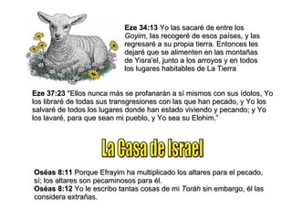 Eze 34:13  Yo las sacaré de entre los  Goyim , las recogeré de esos países, y las regresaré a su propia tierra. Entonces les dejaré que se alimenten en las montañas de Yisra'el, junto a los arroyos y en todos los lugares habitables de La Tierra Eze 37:23  "Ellos nunca más se profanarán a sí mismos con sus ídolos, Yo los libraré de todas sus transgresiones con las que han pecado, y Yo los salvaré de todos los lugares donde han estado viviendo y pecando; y Yo los lavaré, para que sean mi pueblo, y Yo sea su Elohim.” La Casa de Israel Oséas 8:11  Porque Efrayim ha multiplicado los altares para el pecado, sí; los altares son pecaminosos para él. Oséas 8:12  Yo le escribo tantas cosas de mi  Toráh  sin embargo, él las considera extrañas. 