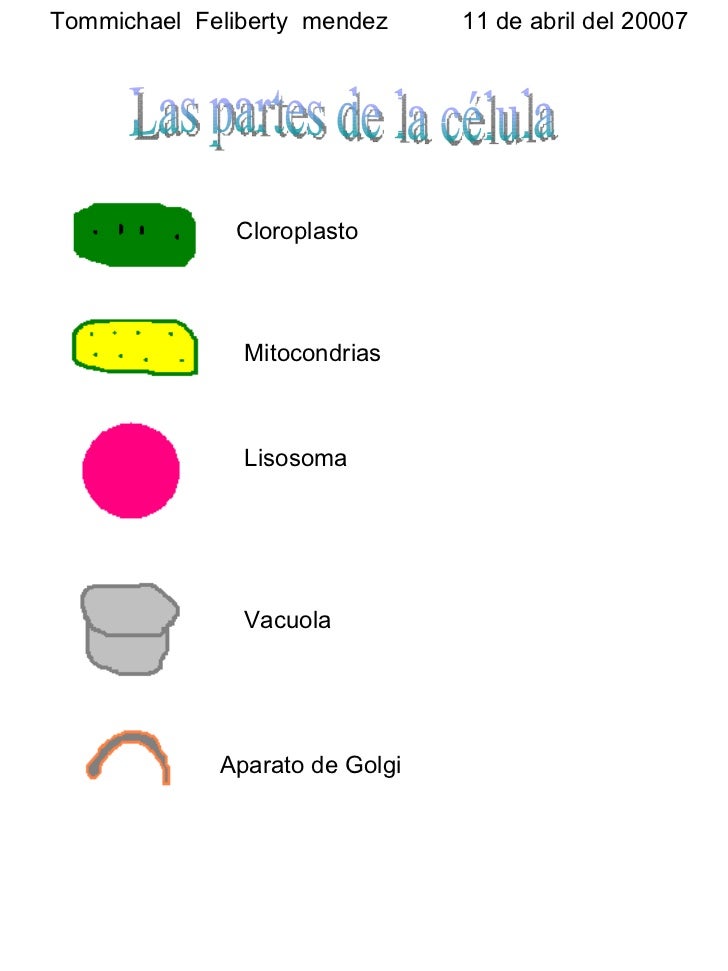 partes de la
