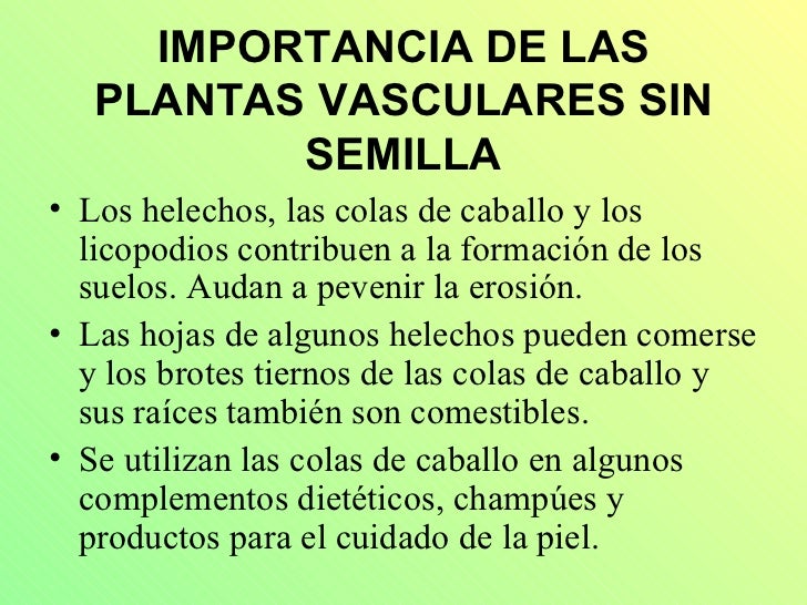 Las Plantas Las Plantas