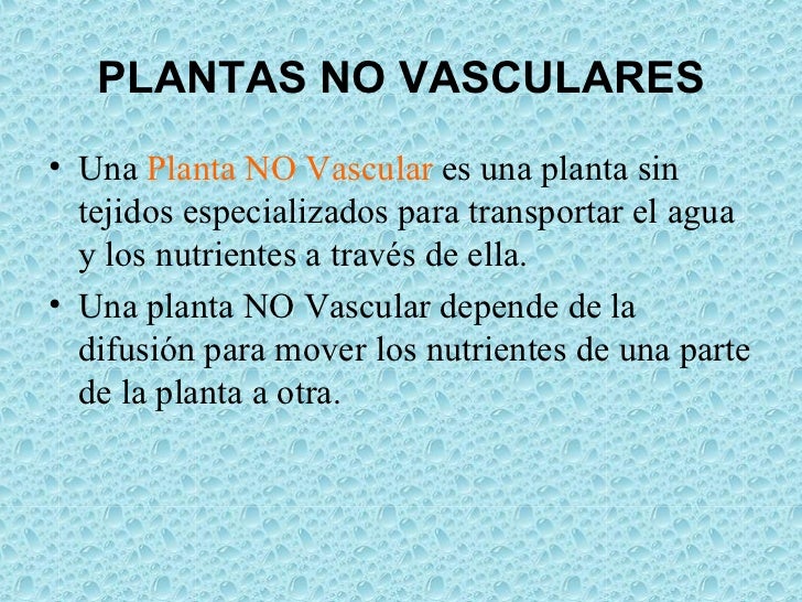 Las Plantas