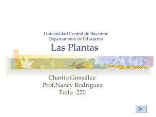 Universidad Central de Bayamón
 Departamento de Educación

   Las Plantas


  Charito González
Prof.Nancy Rodríguez
      Tedu -220
 
