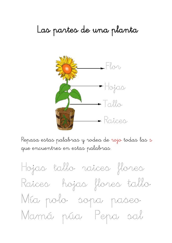 Descargar Formato Hoja De Vida Minerva 1003 En Word Gratis