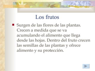 Los frutos
   Surgen de las flores de las plantas.
    Crecen a medida que se va
    acumulando el alimento que llega
    desde las hojas. Dentro del fruto crecen
    las semillas de las plantas y ofrece
    alimento y su protección.
 