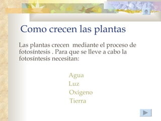 Como crecen las plantas
Las plantas crecen mediante el proceso de
fotosíntesis . Para que se lleve a cabo la
fotosíntesis necesitan:

                 Agua
                 Luz
                 Oxígeno
                 Tierra
 