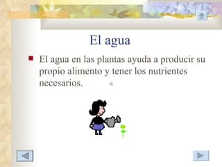 El agua
   El agua en las plantas ayuda a producir su
    propio alimento y tener los nutrientes
    necesarios.
 