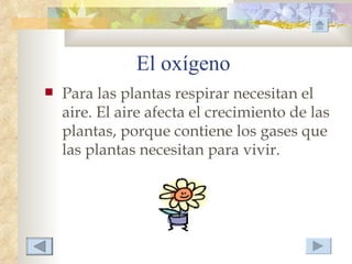 El oxígeno
   Para las plantas respirar necesitan el
    aire. El aire afecta el crecimiento de las
    plantas, porque contiene los gases que
    las plantas necesitan para vivir.
 
