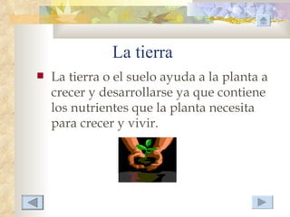 La tierra
   La tierra o el suelo ayuda a la planta a
    crecer y desarrollarse ya que contiene
    los nutrientes que la planta necesita
    para crecer y vivir.
 