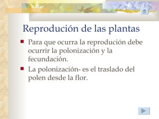 Reprodución de las plantas
   Para que ocurra la reprodución debe
    ocurrir la polonización y la
    fecundación.
   La polonización- es el traslado del
    polen desde la flor.
 