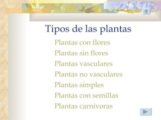 Tipos de las plantas
  Plantas con flores
  Plantas sin flores
  Plantas vasculares
  Plantas no vasculares
  Plantas simples
  Plantas con semillas
  Plantas carnívoras
 