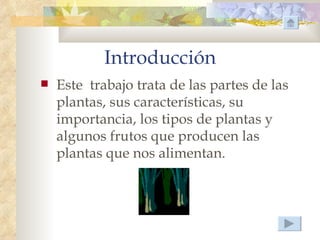 Introducción
   Este trabajo trata de las partes de las
    plantas, sus características, su
    importancia, los tipos de plantas y
    algunos frutos que producen las
    plantas que nos alimentan.
 