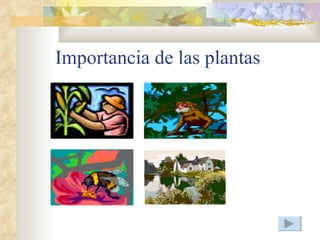 Importancia de las plantas
 