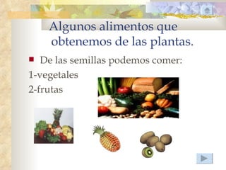 Algunos alimentos que
    obtenemos de las plantas.
  De las semillas podemos comer:
1-vegetales
2-frutas
 