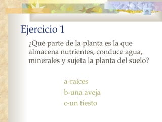 Ejercicio 1
  ¿Qué parte de la planta es la que
  almacena nutrientes, conduce agua,
  minerales y sujeta la planta del suelo?

             a-raíces
             b-una aveja
             c-un tiesto
 