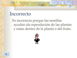 Incorrecto
 Es incorrecta porque las semillas
  ayudan ala reprodución de las plantas
  y estan dentro de la planta o del fruto.
 