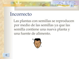 Incorrecto
 Las plantas con semillas se reproducen
 por medio de las semillas ya que las
 semilla contiene una nueva planta y
 una fuente de alimento.
 