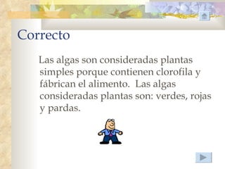 Correcto
   Las algas son consideradas plantas
   simples porque contienen clorofila y
   fábrican el alimento. Las algas
   consideradas plantas son: verdes, rojas
   y pardas.
 