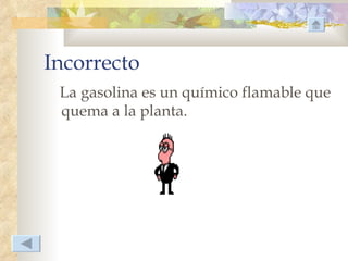 Incorrecto
 La gasolina es un químico flamable que
 quema a la planta.
 