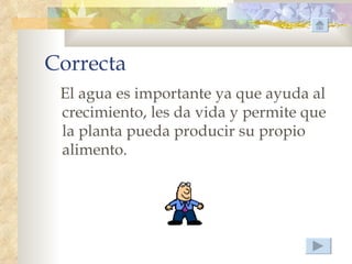 Correcta
 El agua es importante ya que ayuda al
 crecimiento, les da vida y permite que
 la planta pueda producir su propio
 alimento.
 