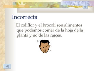 Incorrecta
 El coliflor y el brócoli son alimentos
 que podemos comer de la hoja de la
 planta y no de las raíces.
 