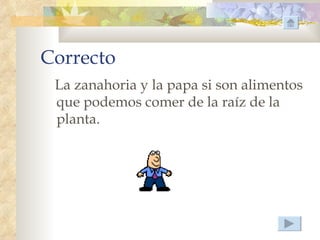 Correcto
 La zanahoria y la papa si son alimentos
 que podemos comer de la raíz de la
 planta.
 
