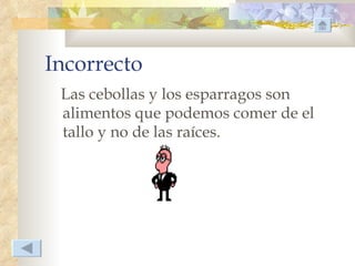 Incorrecto
 Las cebollas y los esparragos son
 alimentos que podemos comer de el
 tallo y no de las raíces.
 