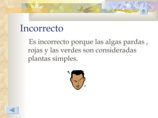Incorrecto
 Es incorrecto porque las algas pardas ,
 rojas y las verdes son consideradas
 plantas simples.
 