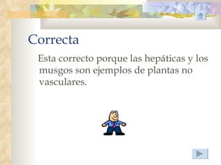 Correcta
 Esta correcto porque las hepáticas y los
 musgos son ejemplos de plantas no
 vasculares.
 