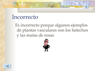 Incorrecto
 Es incorrecto porque algunos ejemplos
  de plantas vasculares son los helechos
  y las matas de rosas
 