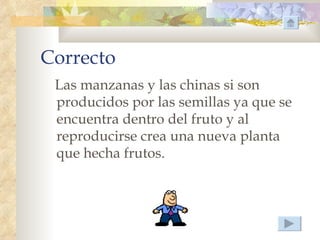 Correcto
 Las manzanas y las chinas si son
 producidos por las semillas ya que se
 encuentra dentro del fruto y al
 reproducirse crea una nueva planta
 que hecha frutos.
 