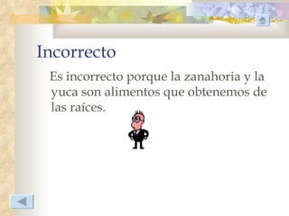 Incorrecto
 Es incorrecto porque la zanahoria y la
 yuca son alimentos que obtenemos de
 las raíces.
 
