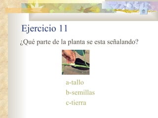 Ejercicio 11
¿Qué parte de la planta se esta señalando?




                a-tallo
                b-semillas
                c-tierra
 