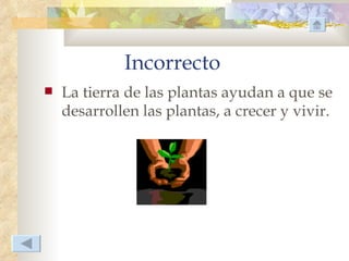 Incorrecto
   La tierra de las plantas ayudan a que se
    desarrollen las plantas, a crecer y vivir.
 